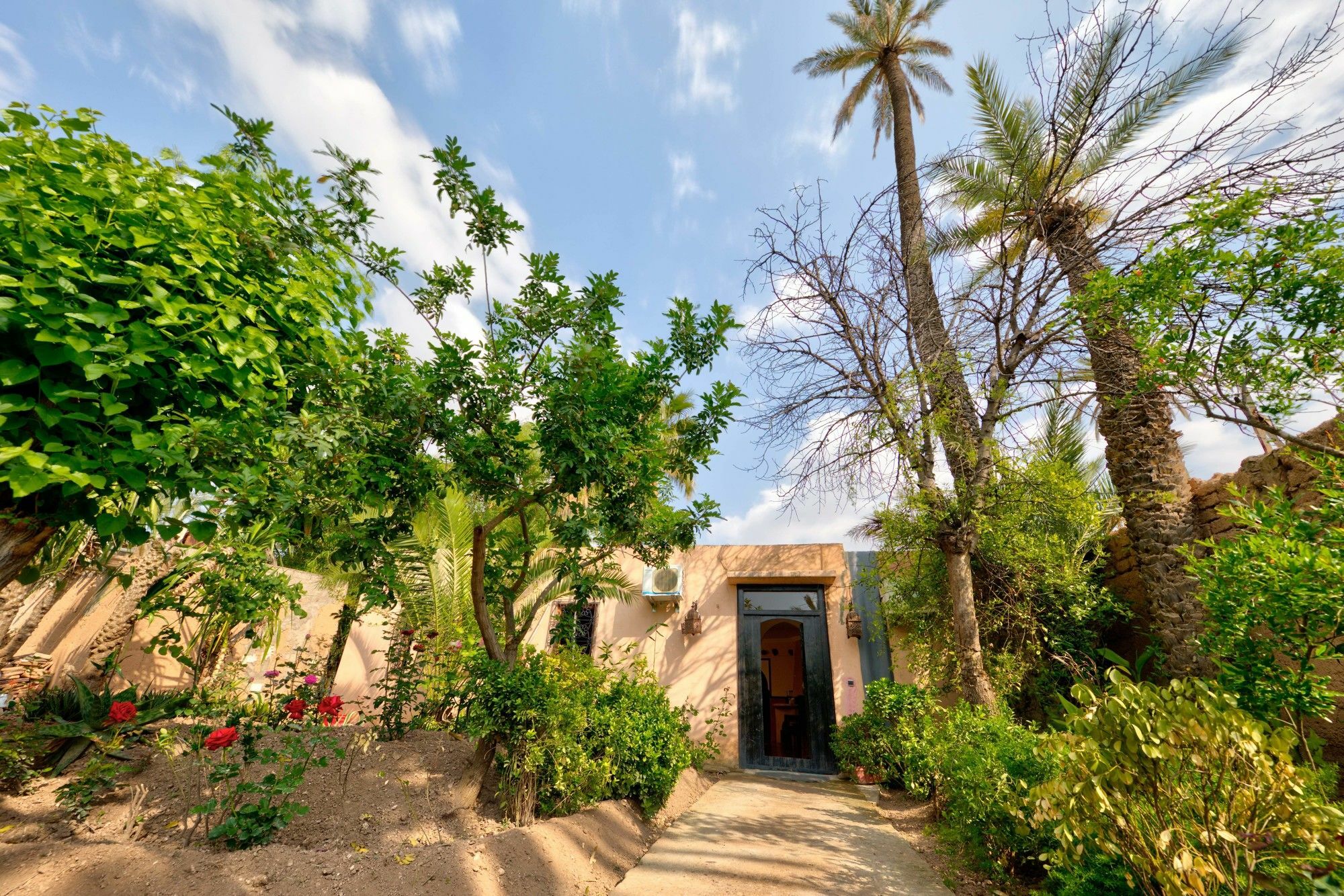 All Green House Marrakesh Eksteriør bilde